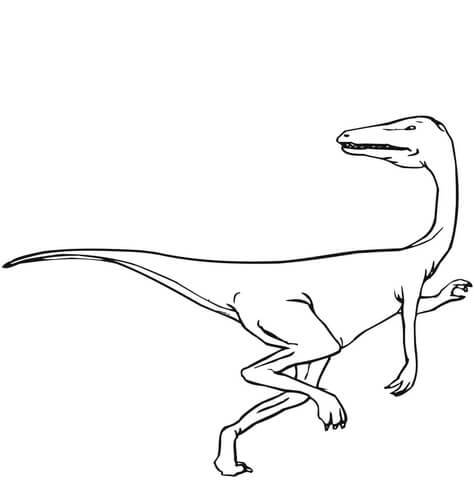 Featherless Velociraptor Coloring Page